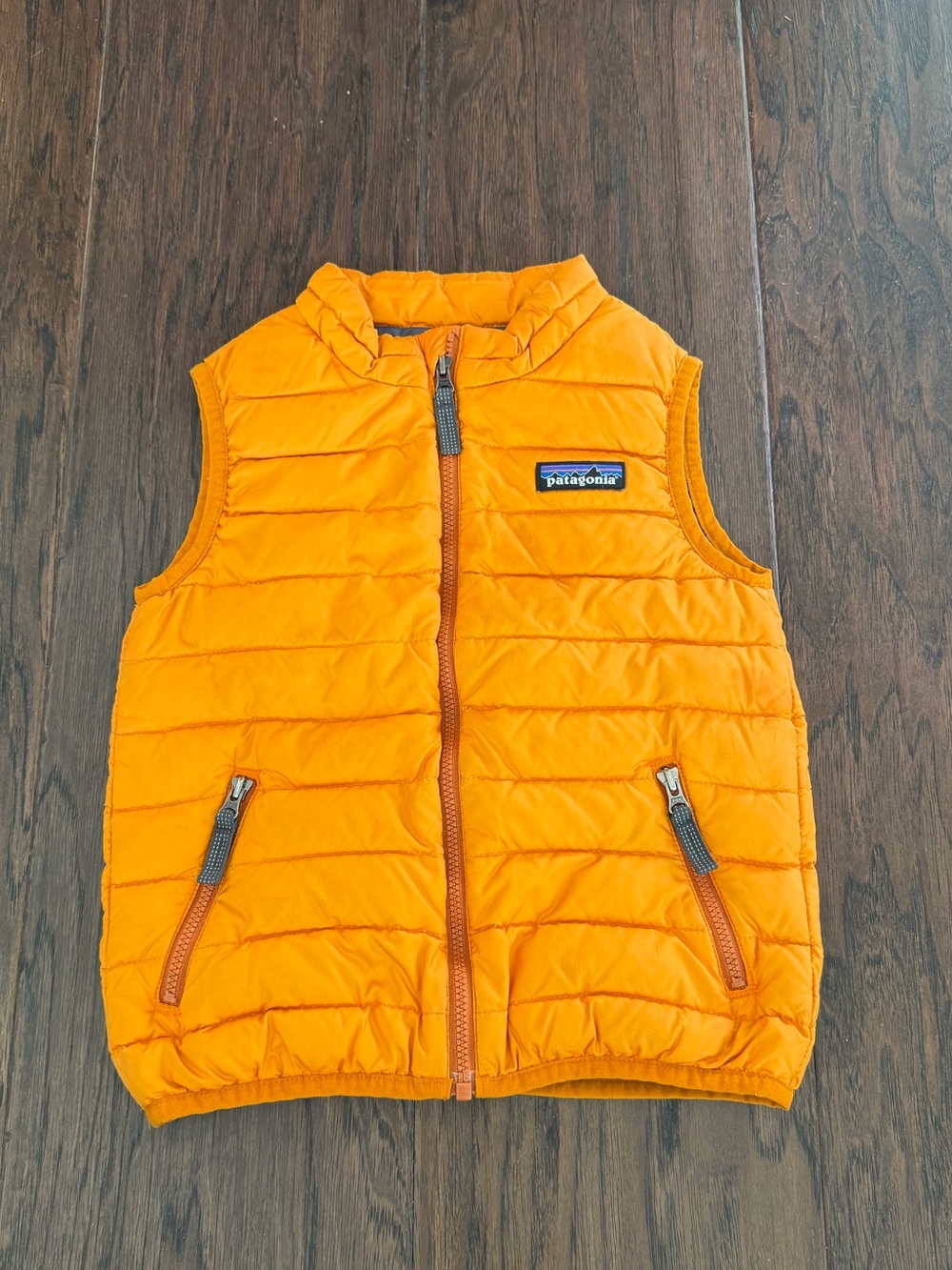 Patagonia vest